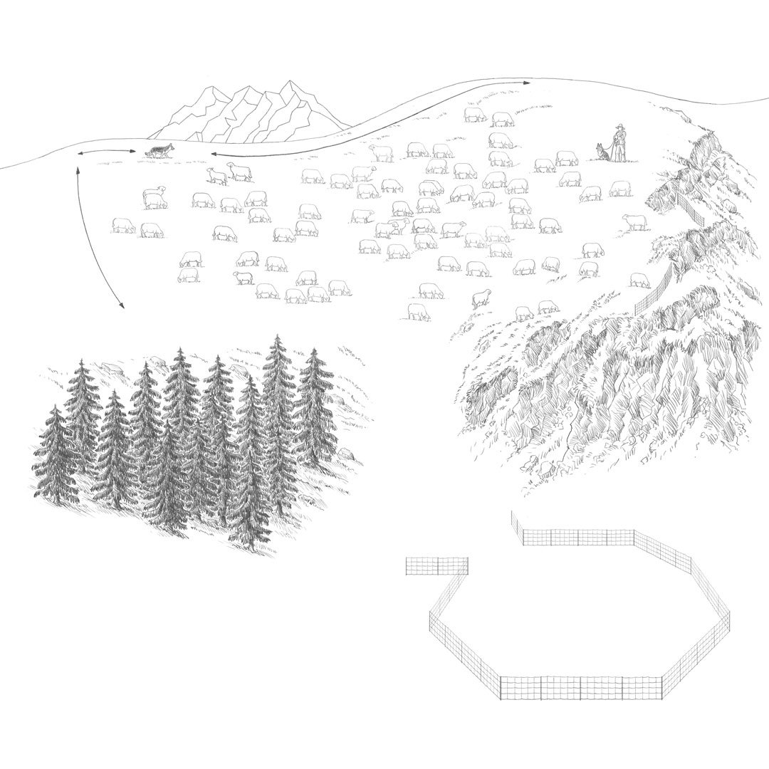 Illus Handbuch Schafalp