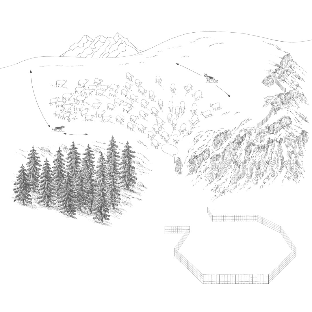 Illus Handbuch Schafalp
