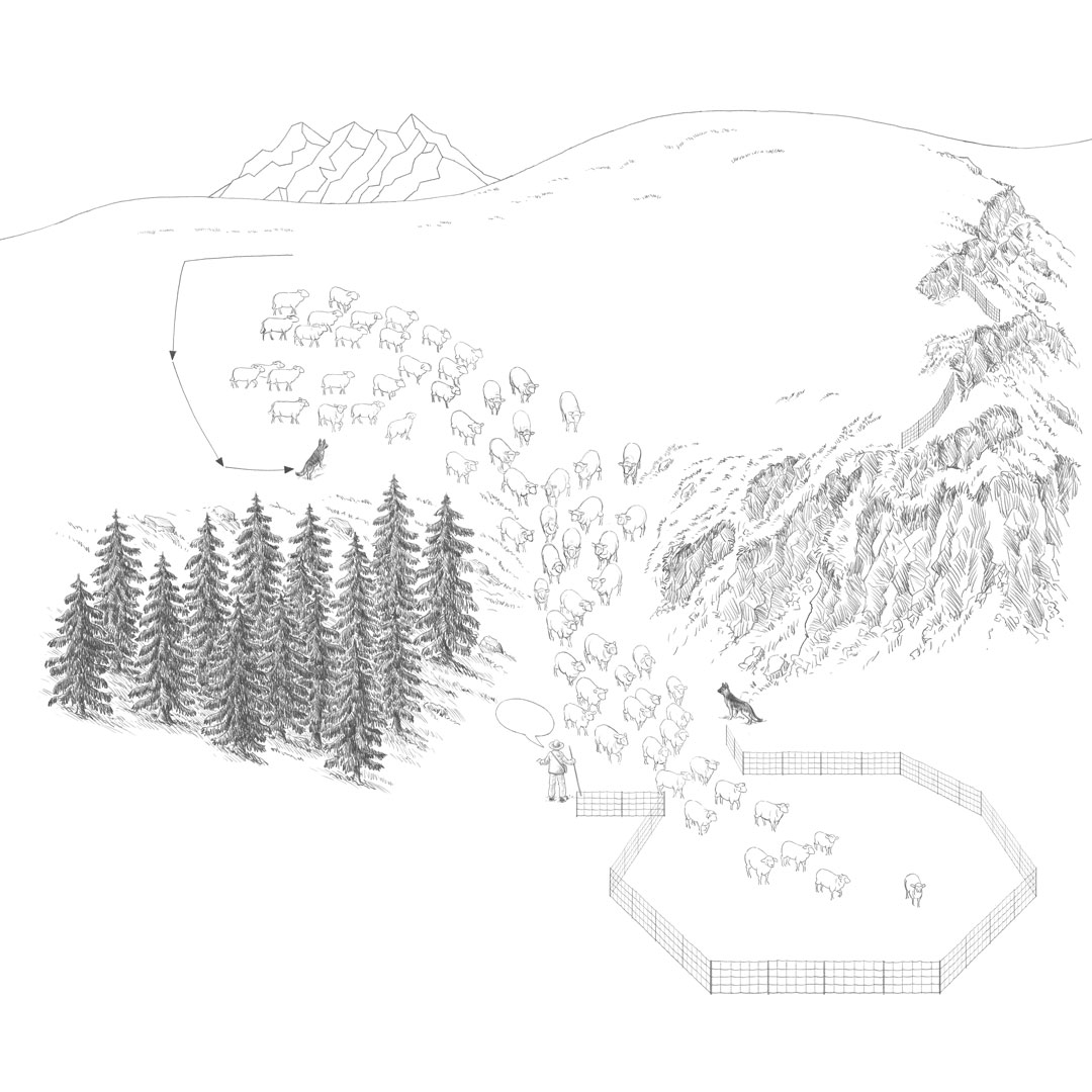 Illus Handbuch Schafalp