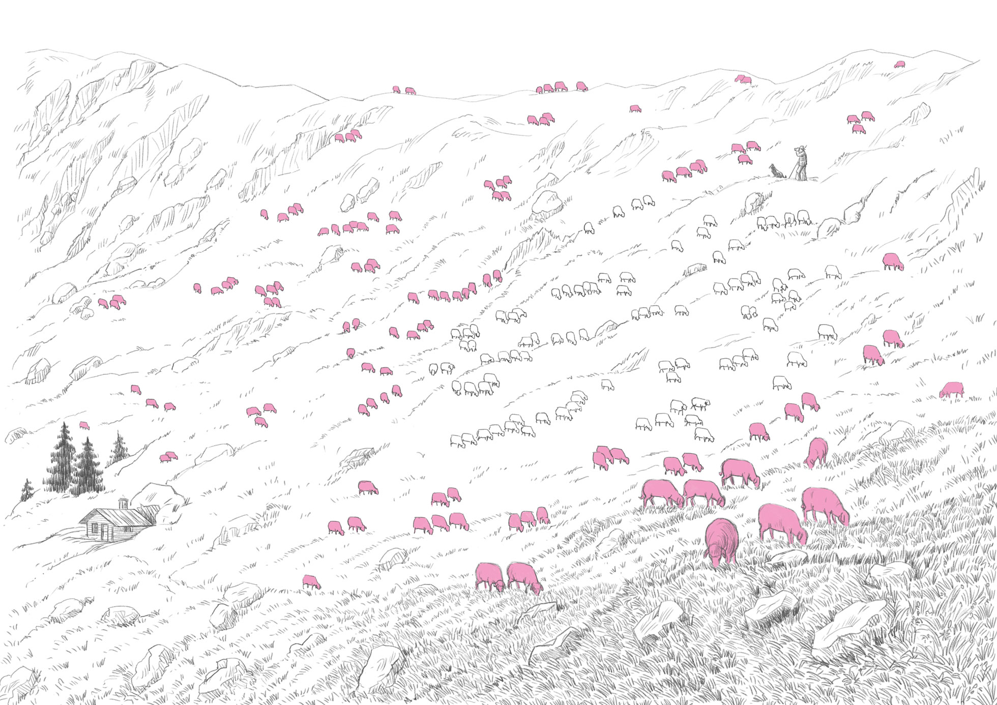 Illus Handbuch Schafalp