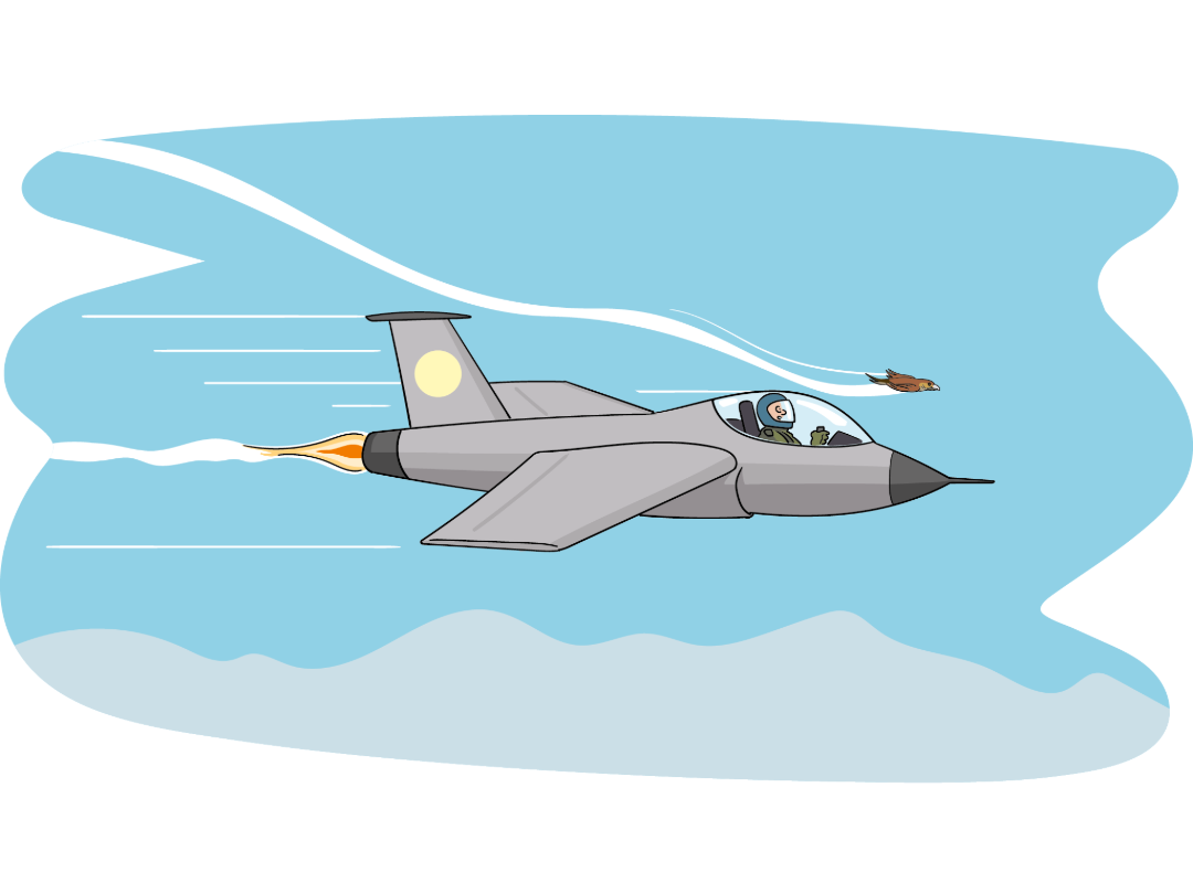 illus la tiba 2024